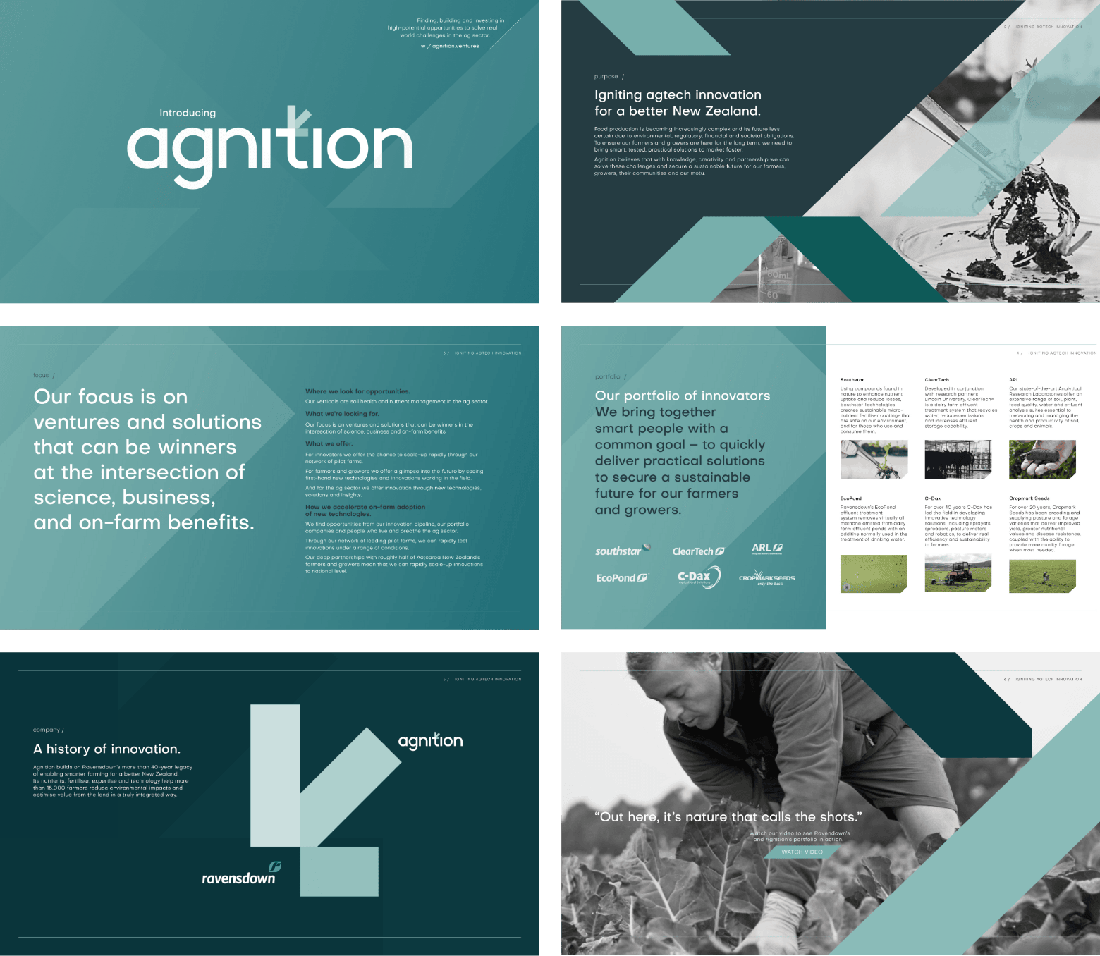 Brand development | Agnition