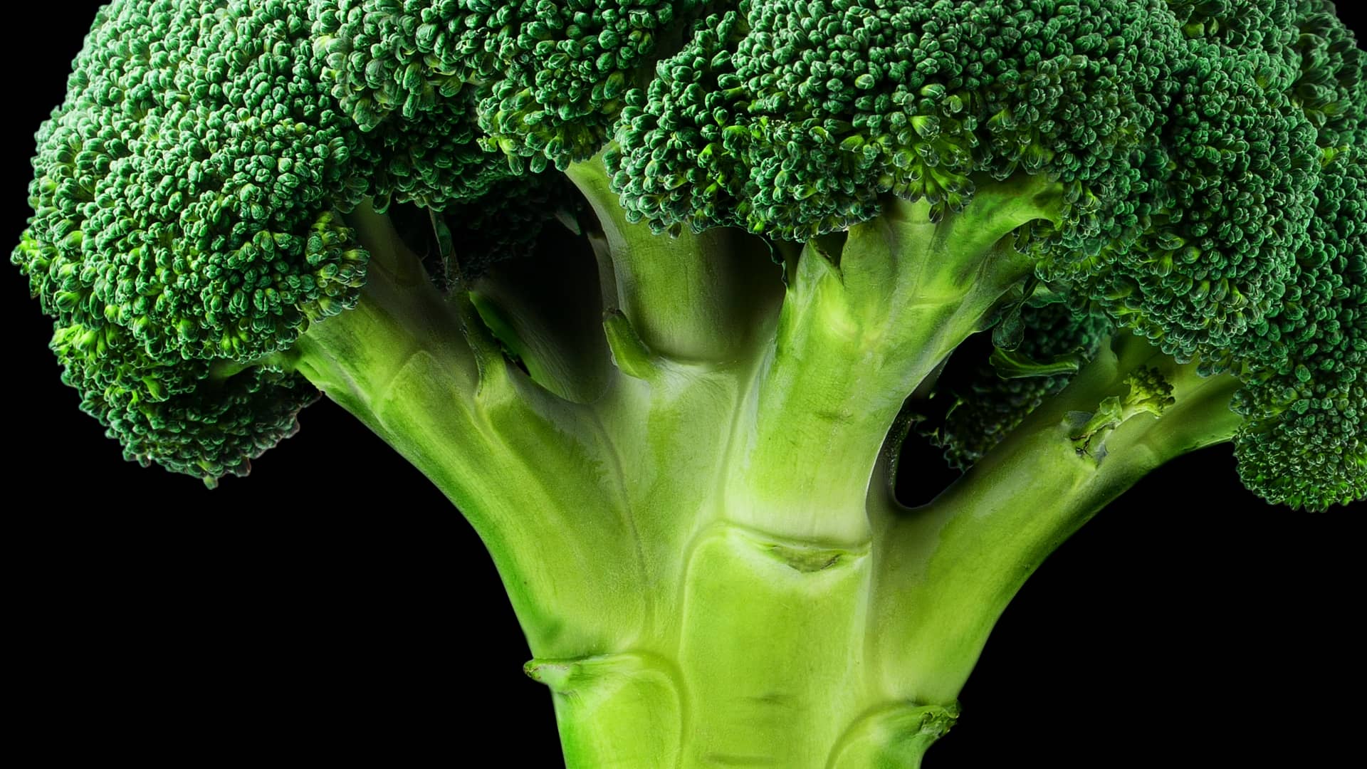 Broccoli Love