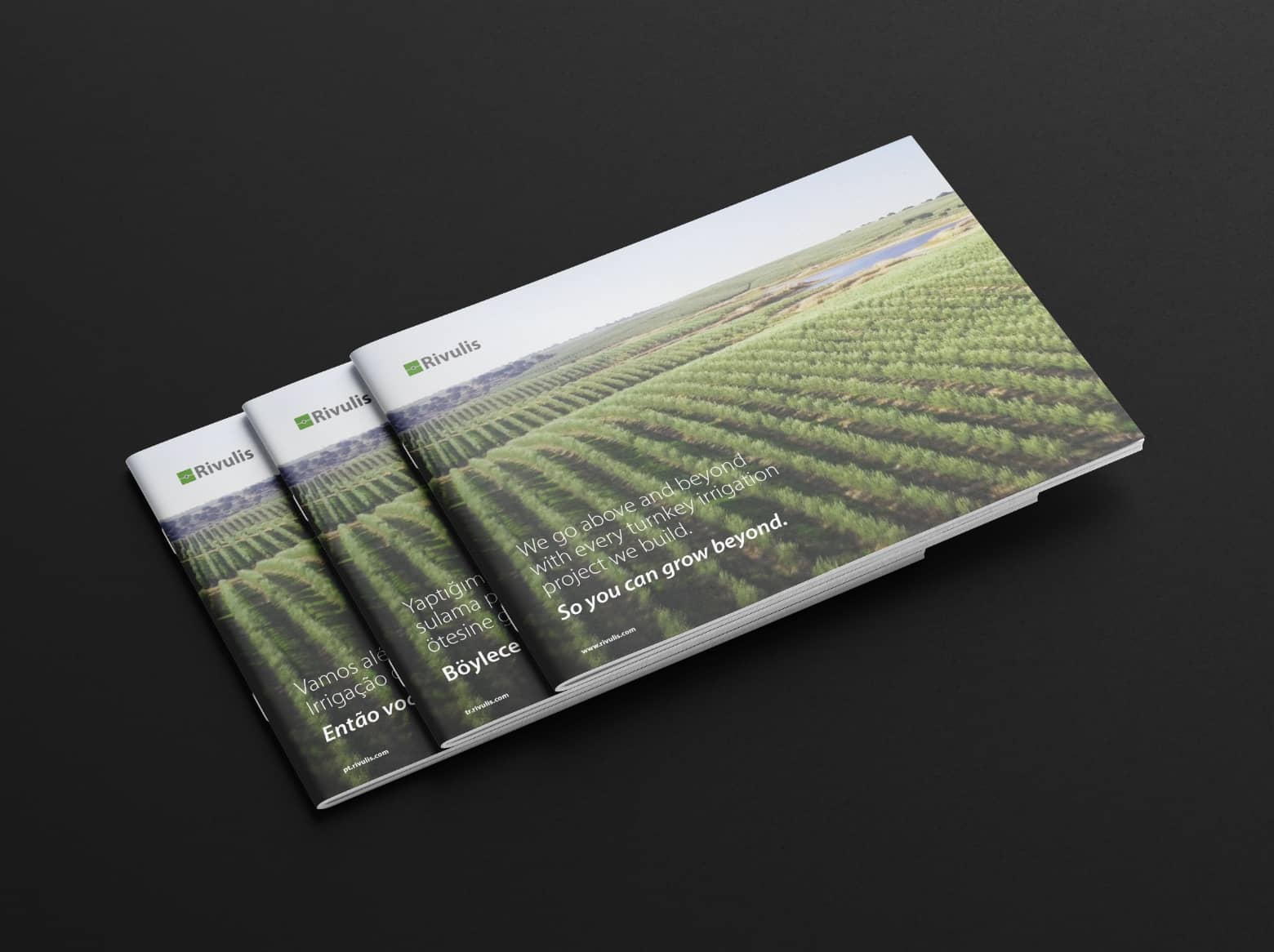 Brochure | Rivulis