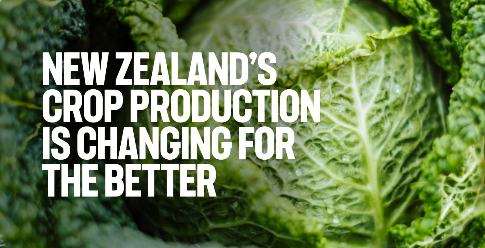 New Zealand’s crop production is changing for the better | A Lighter Touch