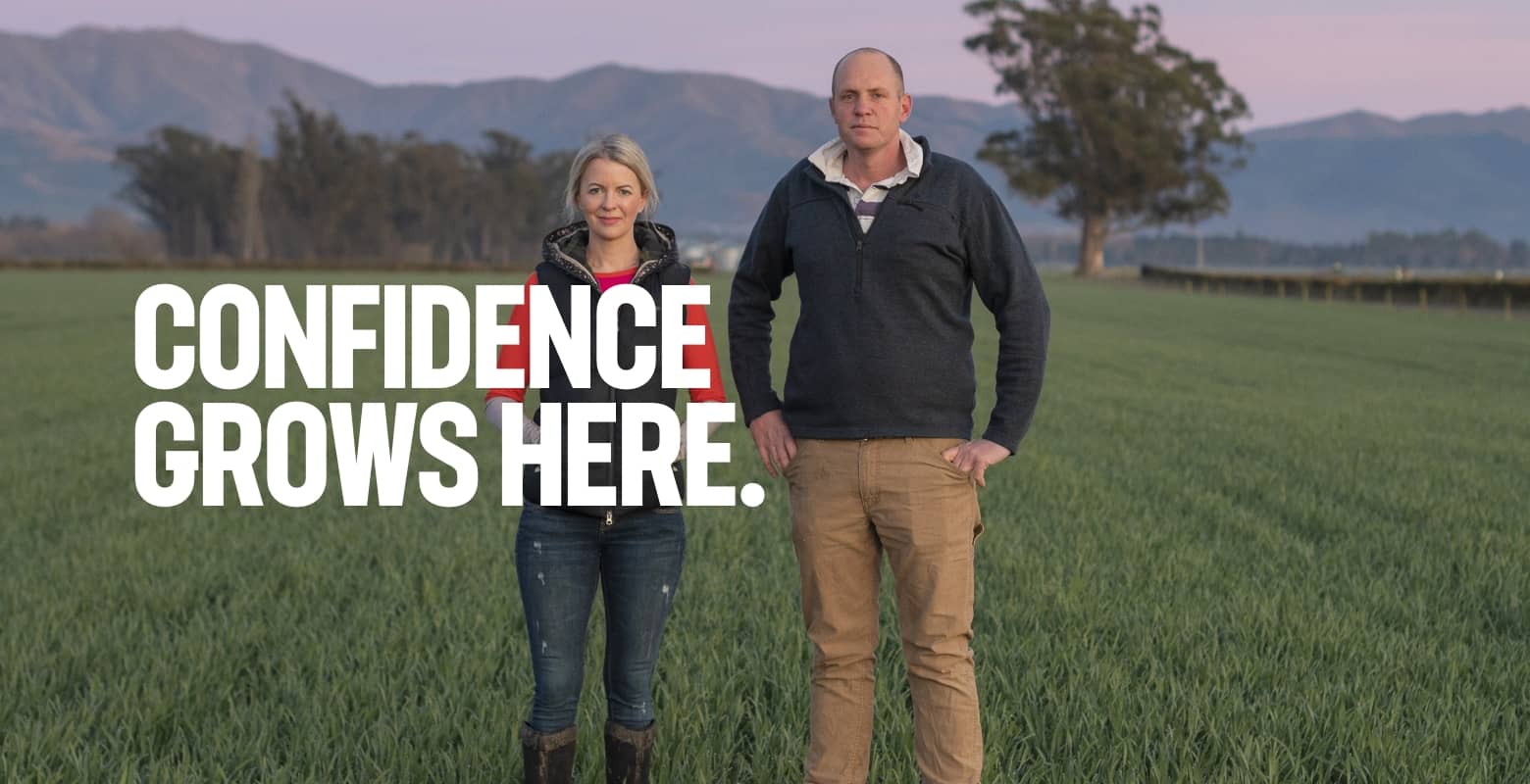 Confidence grows here | BASF