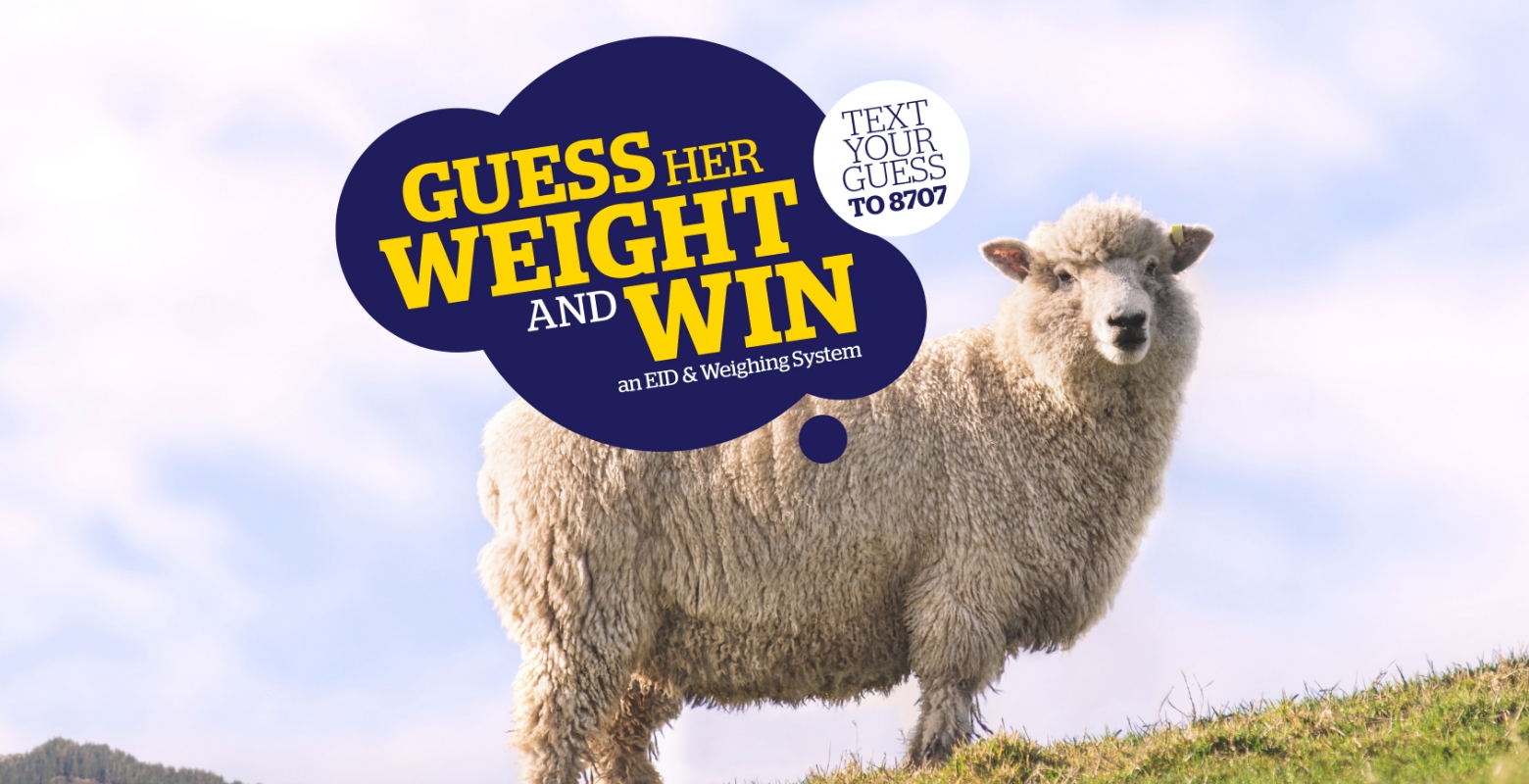 Guess her weight and win | TRU-TEST